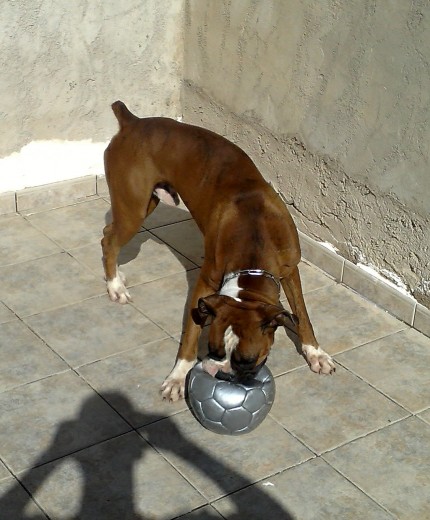 el con su qeridaa pelotaa!!